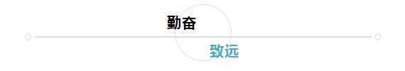大本钱210cc(中国大陆)官方网站